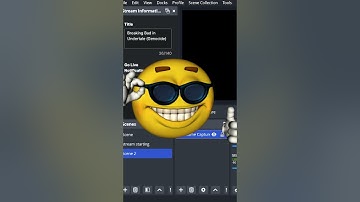 How to fix game capture not working (Black screen)