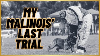 My Malinois' LAST COMPETITION Before Retirement! by Andy Krueger Dog Training  5,413 views 9 months ago 2 minutes, 36 seconds