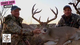 3 Tricky Hunts for Sonoran Desert Coues Deer