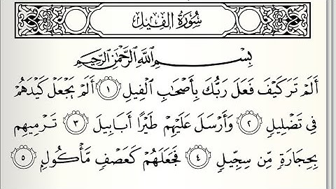 سورة الفيل ايمن سويد كاملة مكتوبة HD ✍️