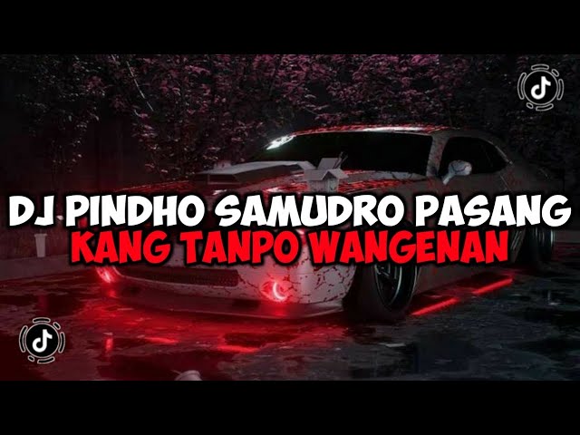 DJ PINDHO SAMUDRO PASANG KANG TANPO WANGENAN || DJ LAMUNAN X SATRU JEDAG JEDUG VIRAL TIKTOK class=