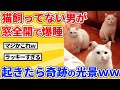 【2ch動物スレ】猫が多い地域で一晩中、窓全開にした結果wwwww