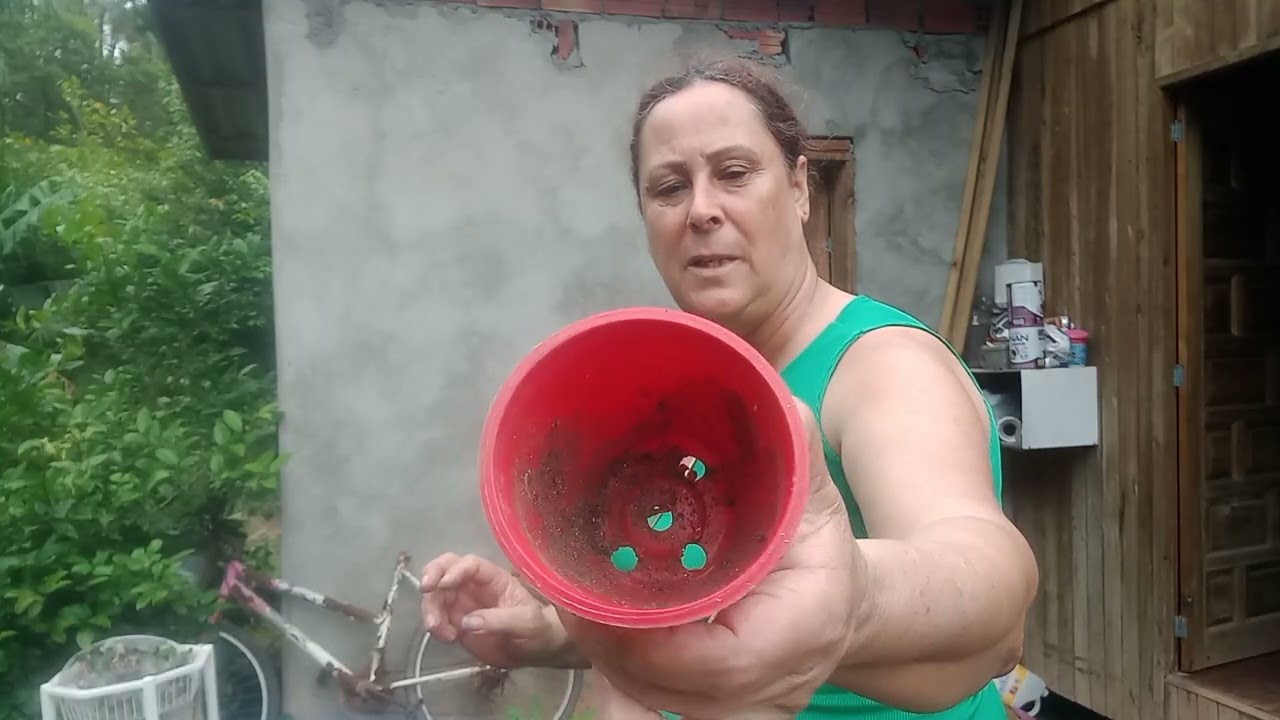 Plantando minhas meninas