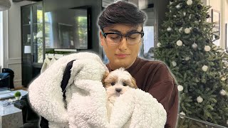 I Got My First Puppy Ever! | Vlogmas Day 23