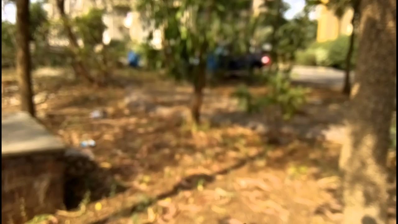 XOLO Omega 5.0 camera sample 1080p at 30fps