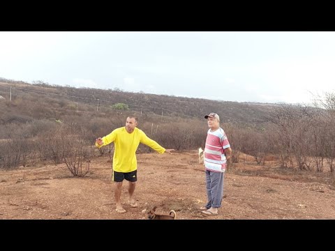 Bastidores  !! Seu Sérgio é seu Jorge mostrar a primeira chuva ☔️ ☔️ do ano  5 fevereiro de 2026 !!