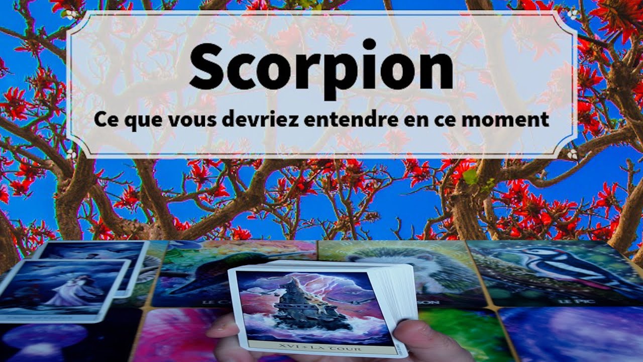Scorpion ~ l’éclatement d’une vérité protectrice ~ En ce moment