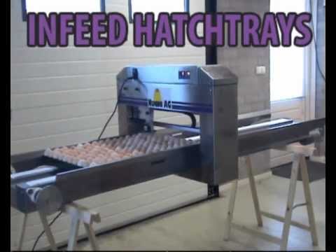 Nuovo Egg Printer - Egg-Jet BAN1-50HT