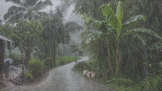 EXTREME WEATHER ⛈️⚡ MOST INTENSE HEAVY RAIN & WINDSTORM | WALKING IN THE INDONESIAN COUNTRYSIDE⛈️⚡ screenshot 5