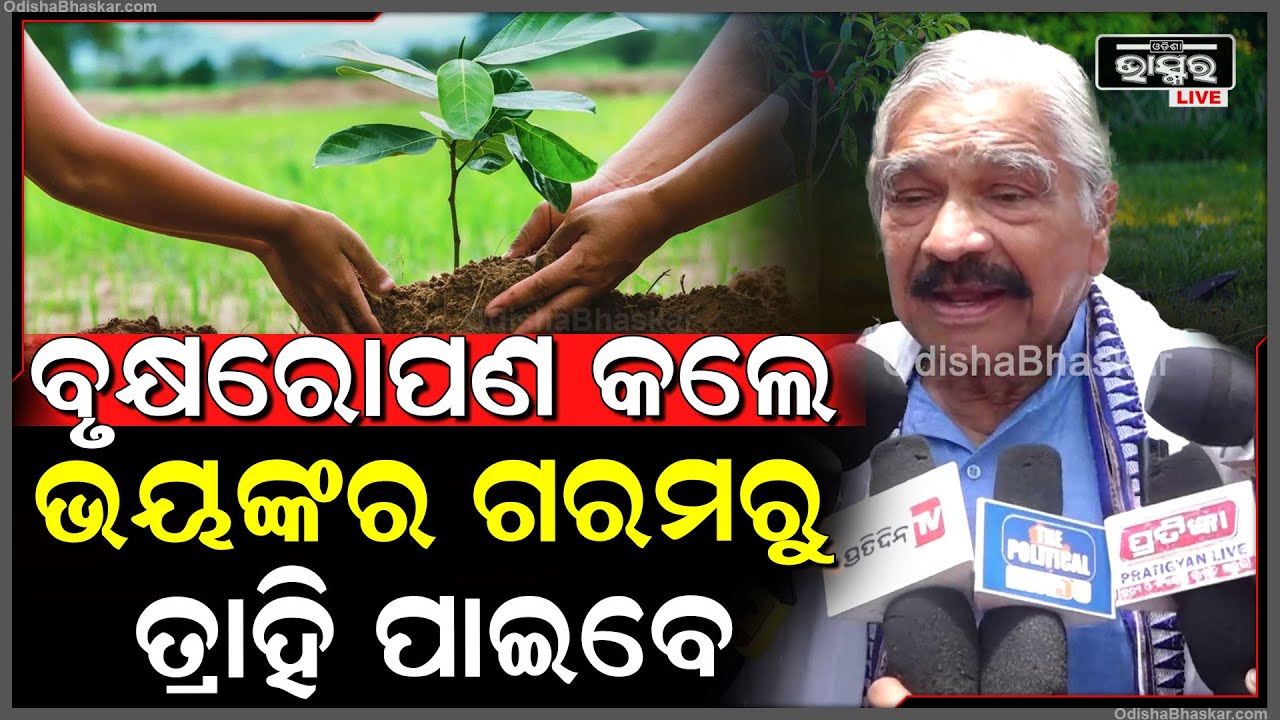ଭୟଙ୍କର ଗରମରୁ ତ୍ରାହି ପାଇବା ପାଇଁ ବୃକ୍ଷରୋପଣ ହେଉଛି ଏକମାତ୍ର ସମାଧାନ : ସୁରେଶ ରାଉତରାୟ,ବରିଷ୍ଠ ନେତା