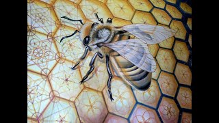 GAYA CAMPONI ART Wall Mural Art BEE'S AXEL HONEY LABORATORY Sacred Geometry Visionary CASETTA MAGLI