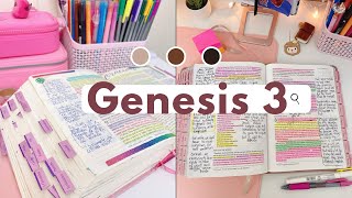 GENESIS STUDY 3