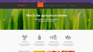 Fruit Responsive Website Template - 47427