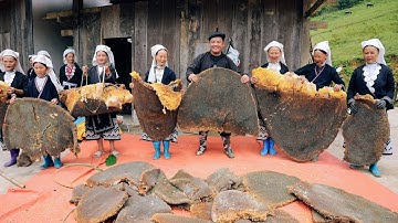 SAPA TV | CHUYỆN LẠ NGÔI LÀNG DAO TIỀN Ở TRONG RỪNG SÂU NUÔI ONG KHỔNG LỒ ĐỂ LẤY SÁP LÀM TRANG PHỤC