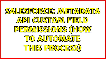Salesforce: Metadata API Custom Field Permissions (how to automate this process) (3 Solutions!!)