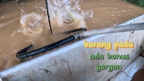 air sado baung pun sado.. rezeki tajur siap bonus lagi😆😆