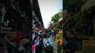 Desfile de carretas, Tapalpa Jalisco México 🇲🇽