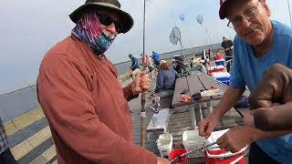 HANDS DOWN The BEST Fishing Pier!!! FISH CATCHING MADNESS!!! Fort Pickens HOVSCO HOVBETA REVIEW