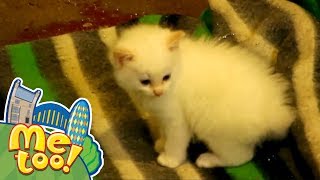 Me Too - The Pet Full Episode Tv Show For Kids