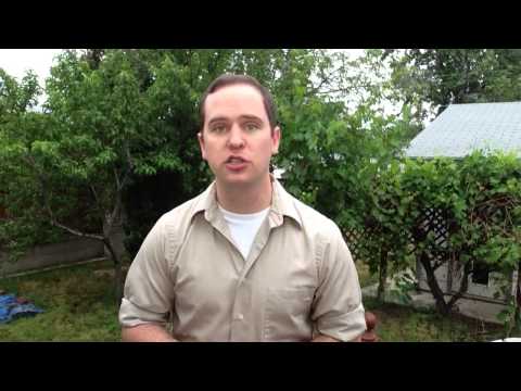 Proven Chiropractic Marketing Ideas | This Chiropractor Marketing Will DOMINATE Your Competition!