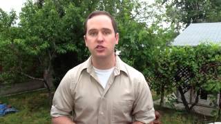 Proven Chiropractic Marketing Ideas | This Chiropractor Marketing Will DOMINATE Your Competition!
