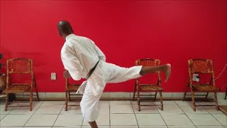 Fundamental Skill Mastery Series:  Back Kick 4 Of 6