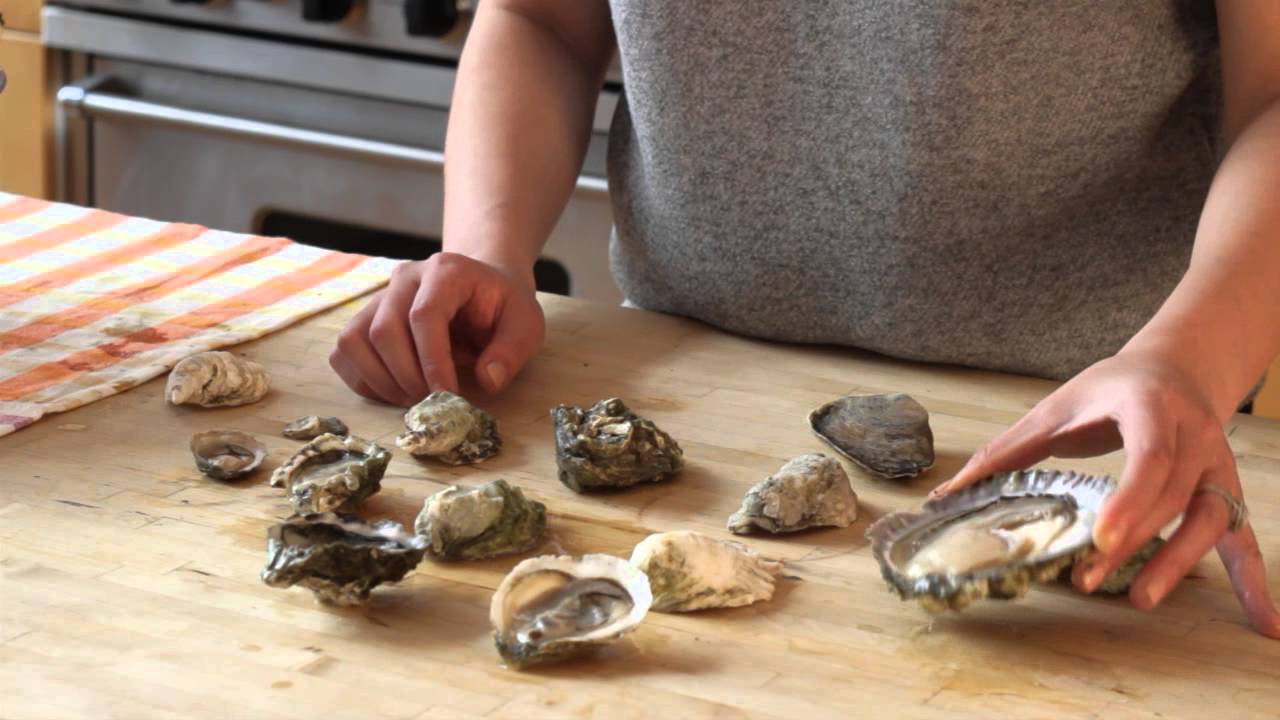 Understanding Types Of Oysters