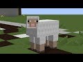 Screaming sheep  minecraft short