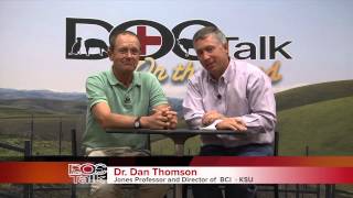 DocTalk Show 91 Culling Dairy Cows