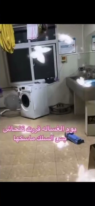 ثروباك يوم الغساله تبي تنحاش