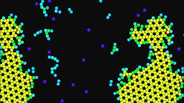Self-Assembly of Kagome Lattice