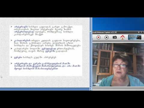 ფუნქციურ სისტემათა ფიზიოლოგია, 4(1)