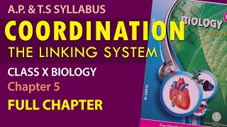 Coordination in Telugu: Class10 Biology chapter-5 FULL CHAPTER | AP & TS Syllabus