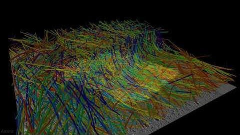 Actin Wave Characterization with Cryo-ET and Amira Software