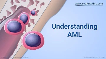 ¿Cuáles son los 3 tipos de AML?