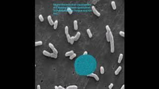 Download lagu BxOxCxHxAxDcTxFxIxPxFx - 3 tracks (2025)