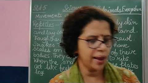 V Science Chapter 8 Animals Everywhere Part 10