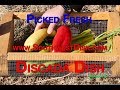 Picked Fresh Discada Dinner, SouthwestDisk com
