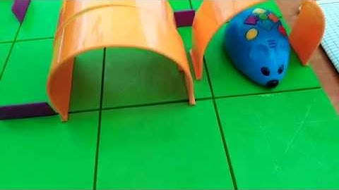 Programming Colby Mouse Robot