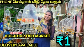 ₹1 ரூபாய் முதல்..!!!! Kolathur ALL DAY Fish Market Vlog