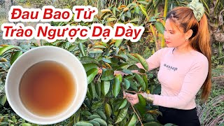 Ai Đang Bị Đau Bao Tử, Trào Ngược Dạ Dày Sử Dụng Ngay Bài Thuốc Này Sáng Dùng Chiều Khỏe Bạn Nên Thử