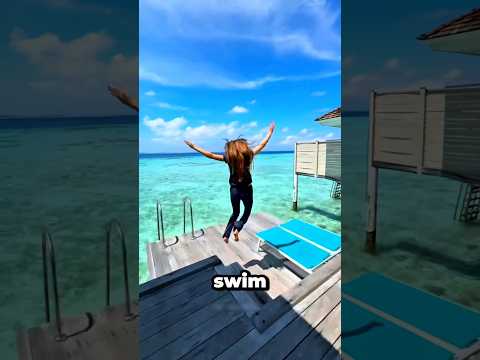 The Magical Return To The Maldives