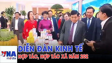 Diễn đàn kinh tế Hợp tác, Hợp tác xã năm 2025 - VNAMedia