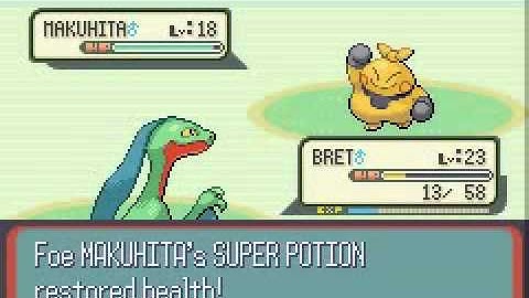 Pokemon Sapphire Walkthrough Part 19-Fiery Path