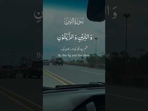 Post by  Saleh Khana Vlogs