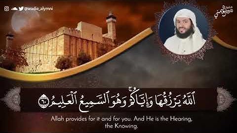 وديع اليمني ما تيسر من سورة العنكبوت