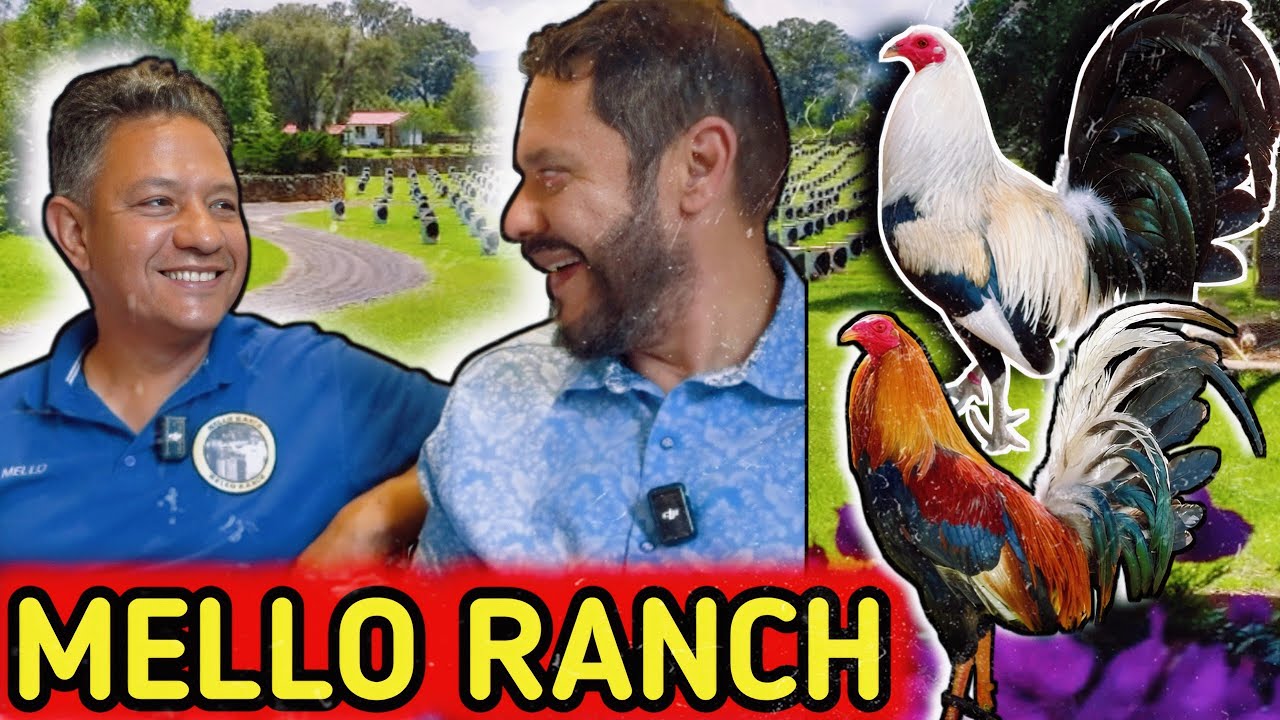 Mello Ranch 