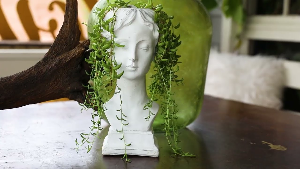 Dallas Commercial Photographer | Brand Video | House of Dirt - Bishop Arts, Dallas