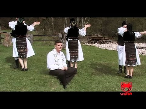 Calin Crisan - Viata trecatoare