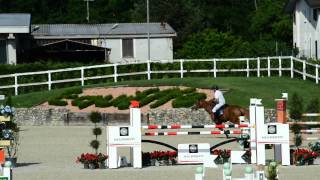 C135 A Equieffe Gorla Minore